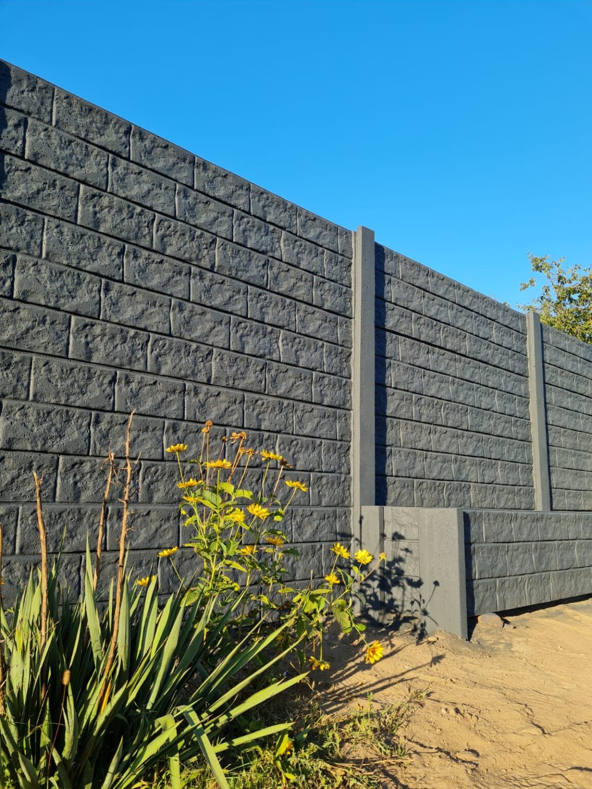Betonzäune (1)