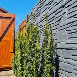 016f476c 01d2 4dad 88be Dbc6bcdf2021