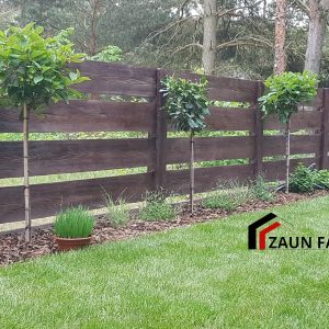 1d101e3a 5ac6 4fd8 Ac1d 45a2b467f97f