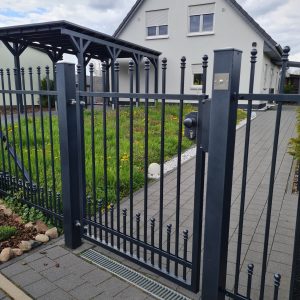 Geschmiedete Metallzäune (2)